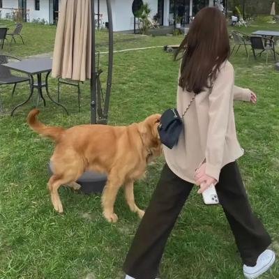 嘿！客栈